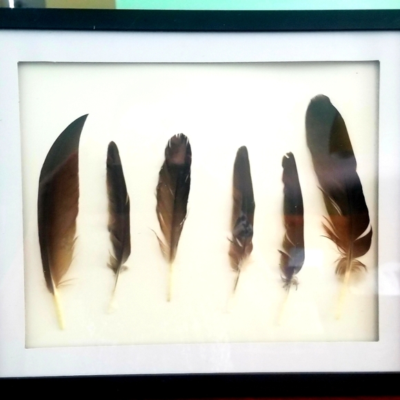 Featherwork Framed 8×10 Wall & Sitting Art/Decor Hang or Stand - Picture 2 of 8